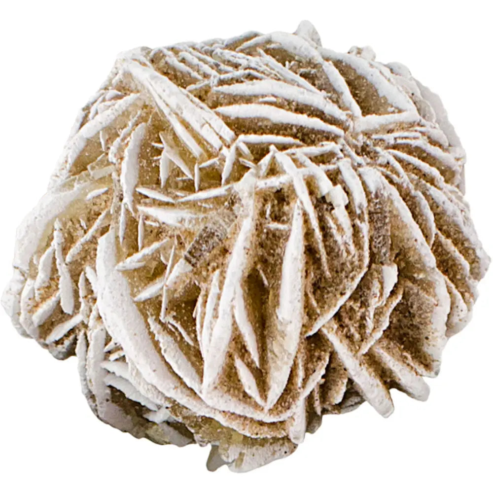 Desert Rose